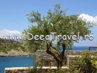 Daios Cove Luxury Resort Villas, Creta, Grecia