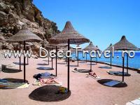 HOTEL DREAMS BEACH SHARM EL SHEIKH  EGIPT